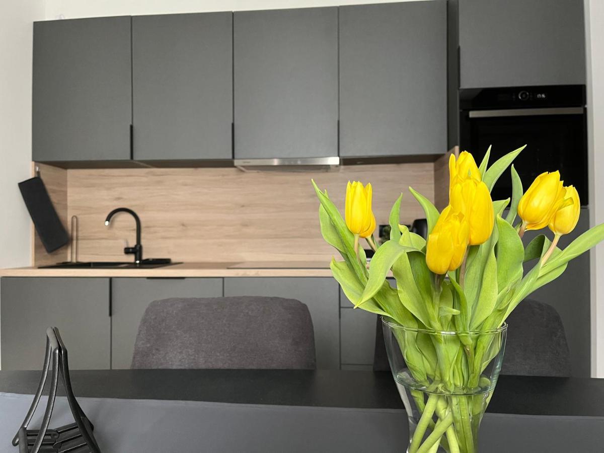 Apartment Kammi ซาเกร็บ ภายนอก รูปภาพ